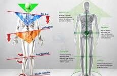 Flat feet? Crooked spine, poor scores on the links