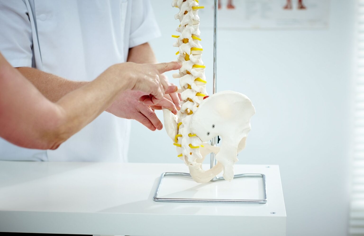 A Complete Guide to Chiropractic Adjustments - Dr. Jonathan A. Sirota ...